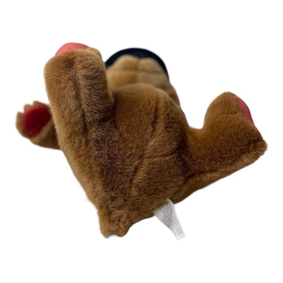 NWT Vintage 1995 Grand Ole Opry Hooch Bear Plush - Picture 5 of 11